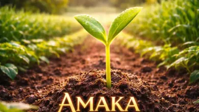 BrokenHill Emmy ft. Tiger Tonka – Amaka Mulukasu Mp3 Download