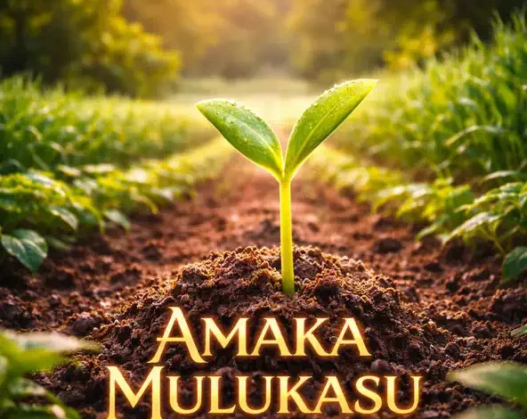 BrokenHill Emmy ft. Tiger Tonka – Amaka Mulukasu Mp3 Download