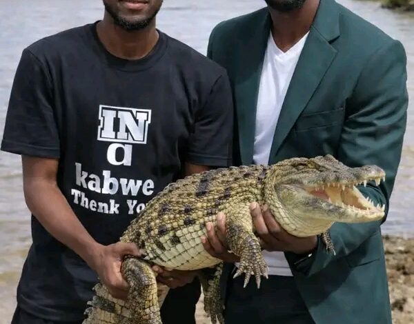 Pompi Denied Entry at Livingstone Crocodile Park: Customer Service Debate Sparks